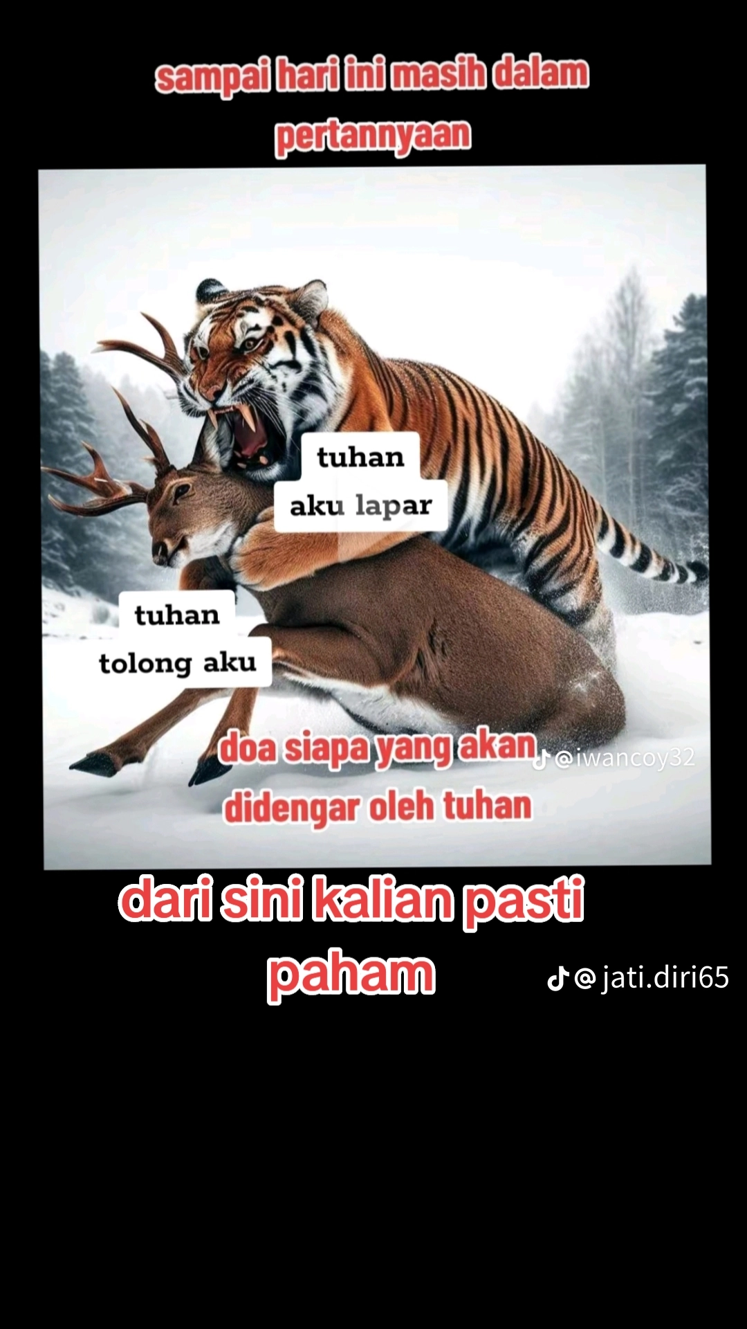 1000035351.webp