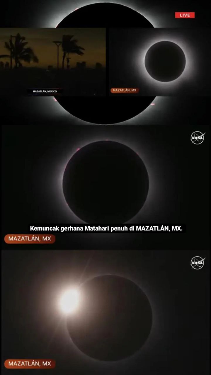 1000191040.jpg
