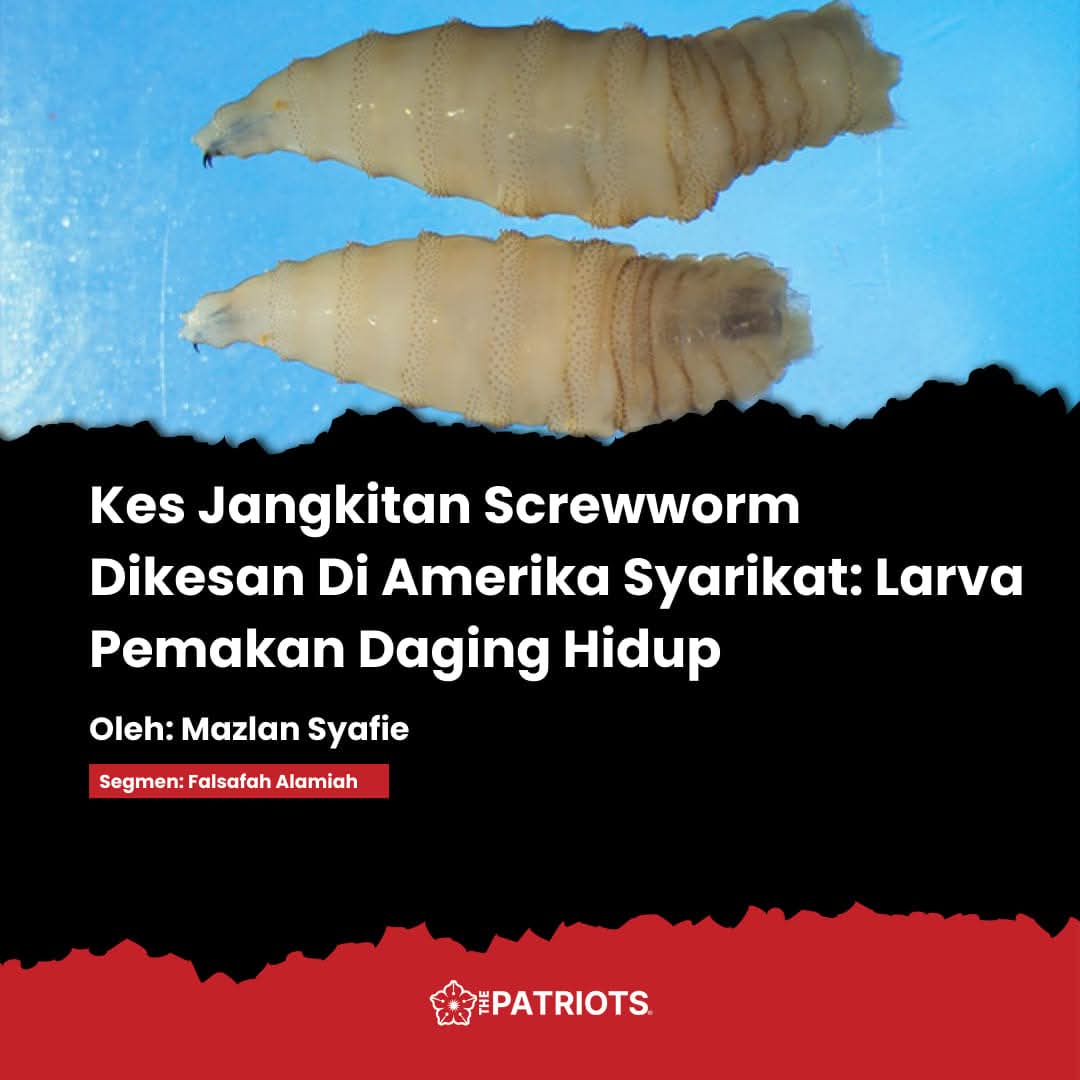 1000712302.jpg