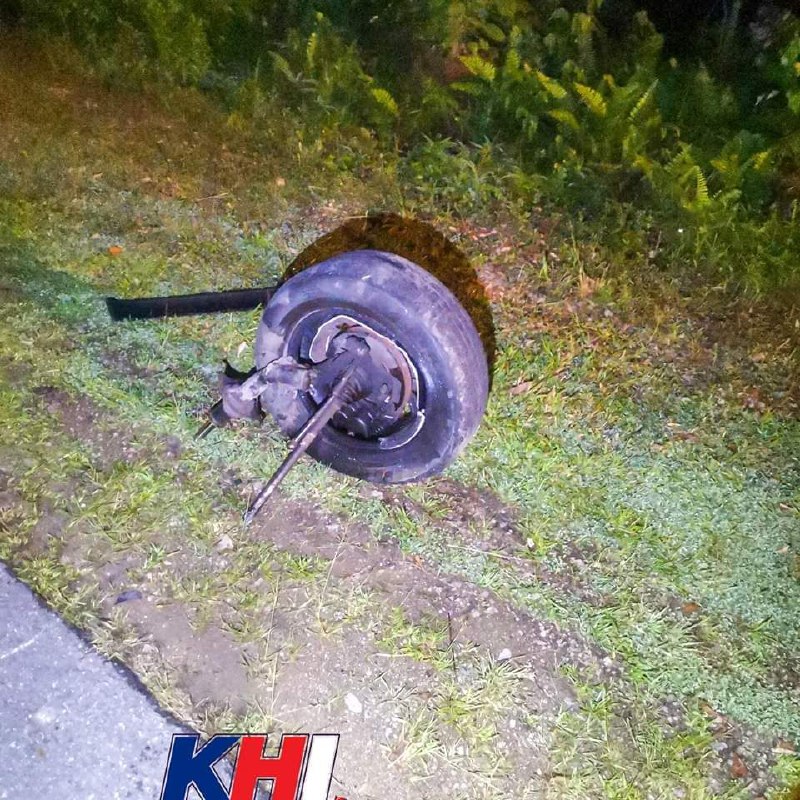 10056.jpeg