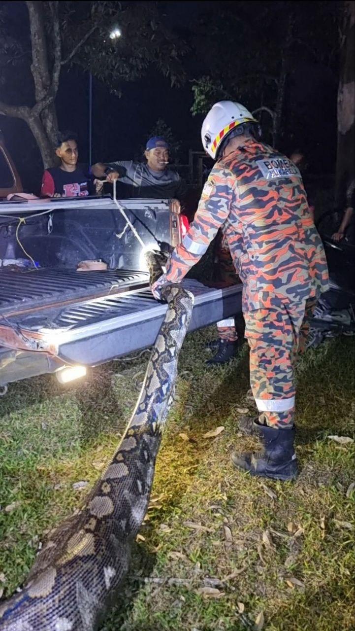 14046309921414221-316416.jpg