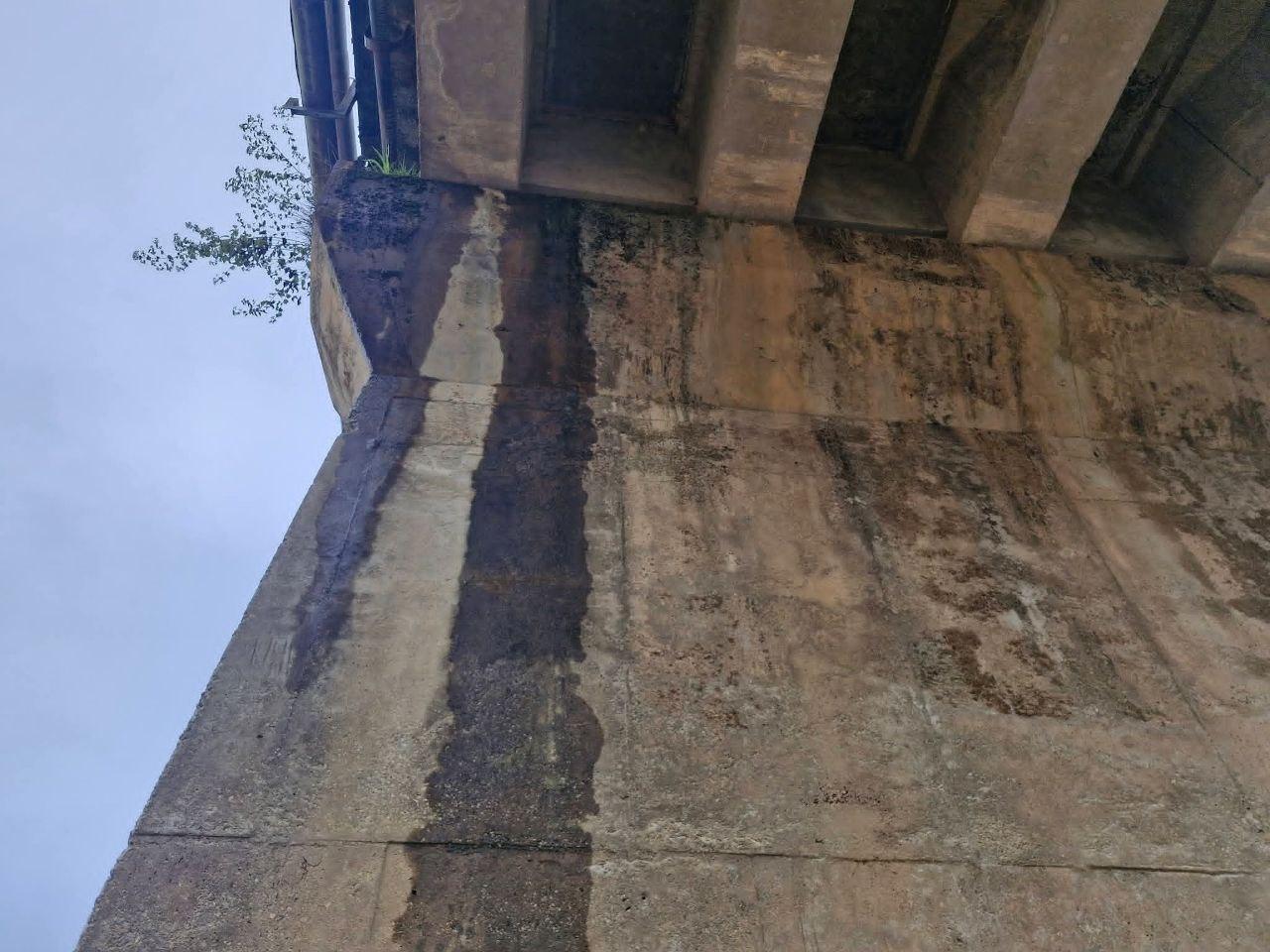 14144334303322893-362361.jpg