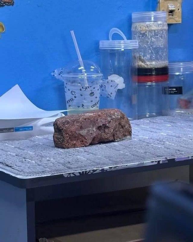 14215905723796765-392078.jpg