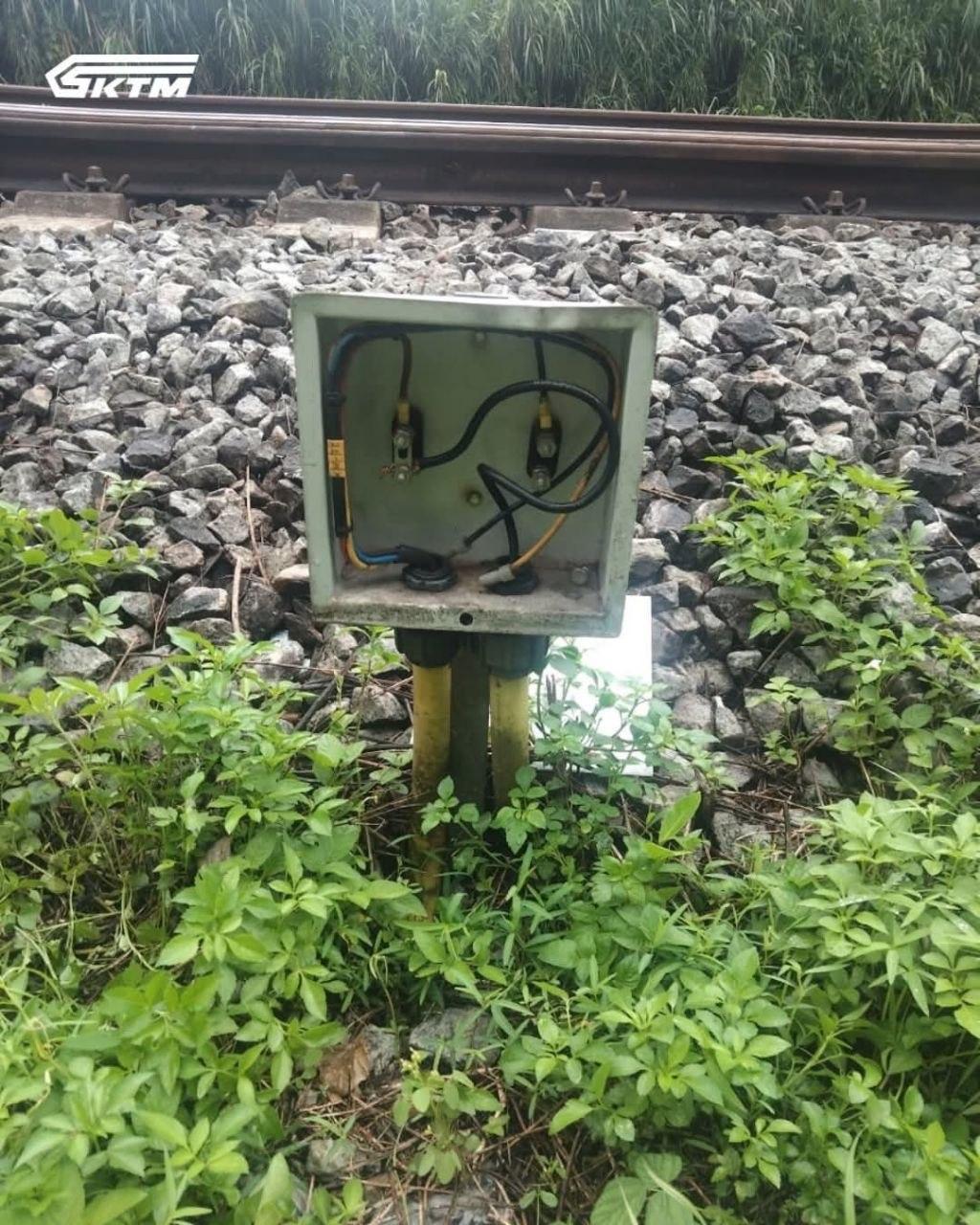 14223584197303493-395087.jpg