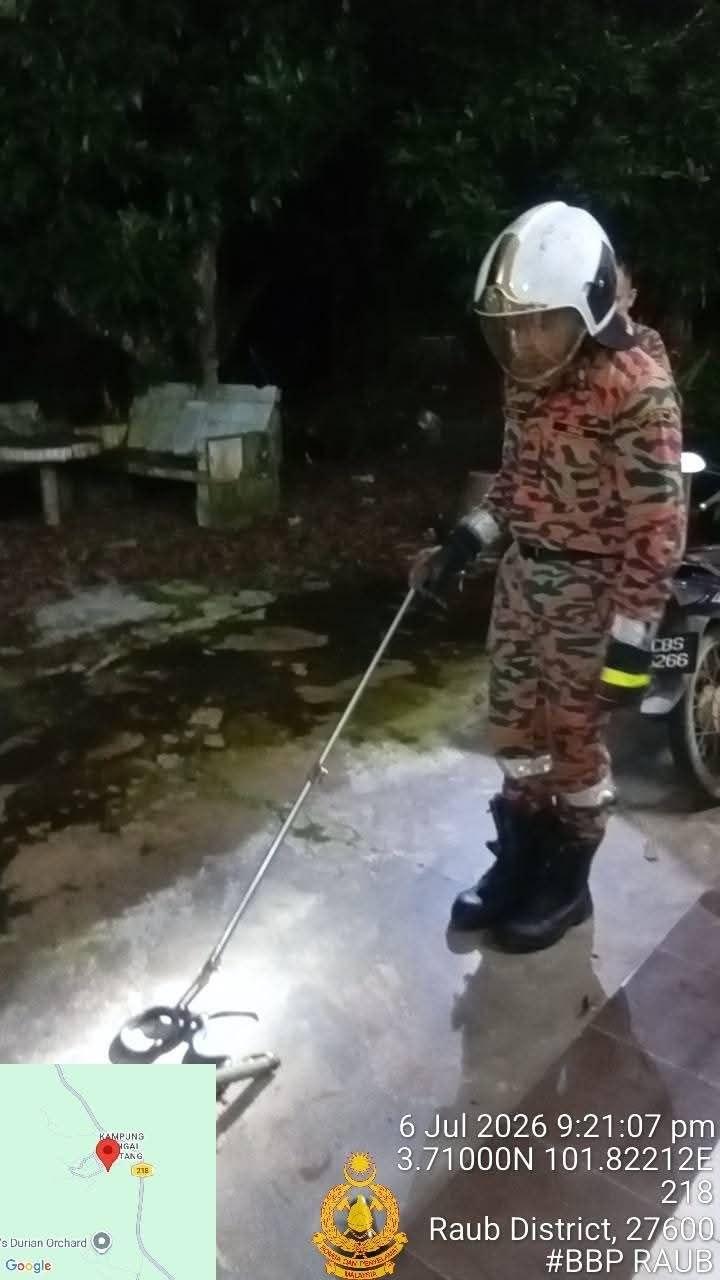 14267098623571613-409342.jpg