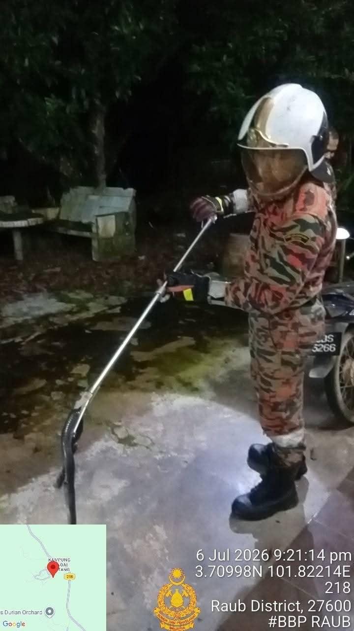 14267098623571613-409343.jpg