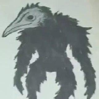14269588909597741-410006.jpg
