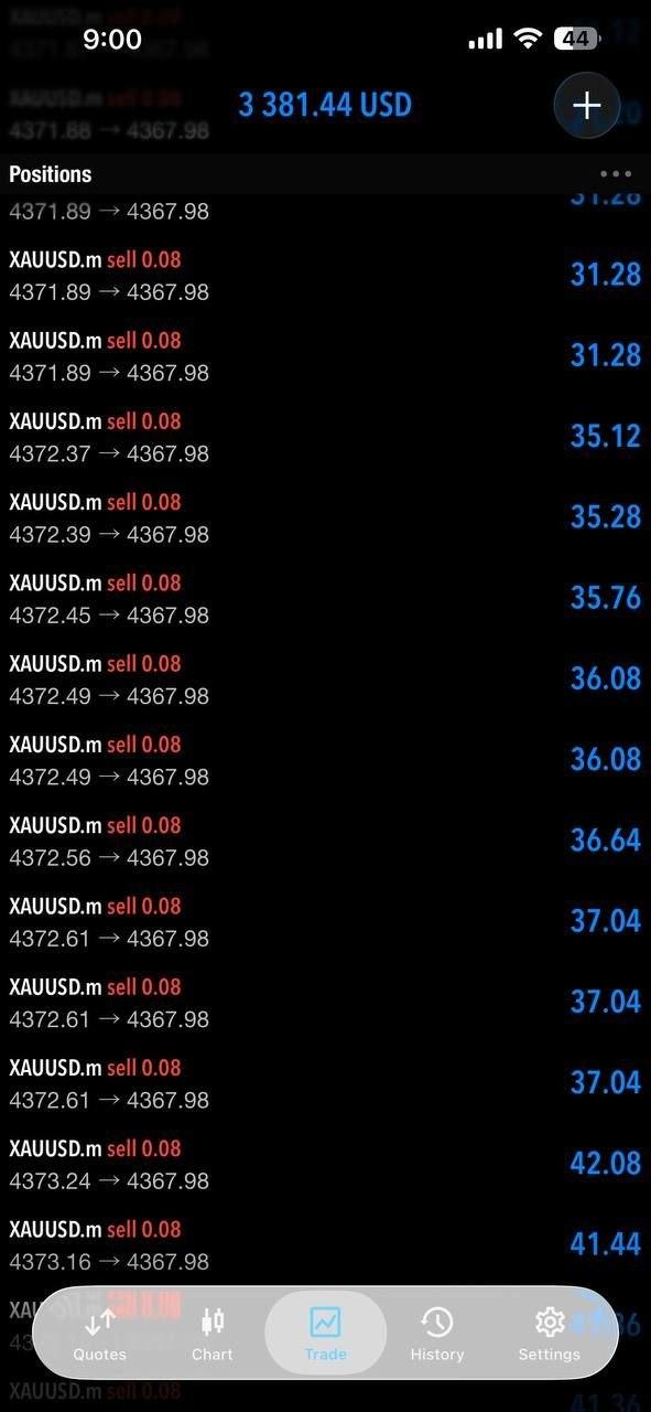 14317201635210172-3205.jpg