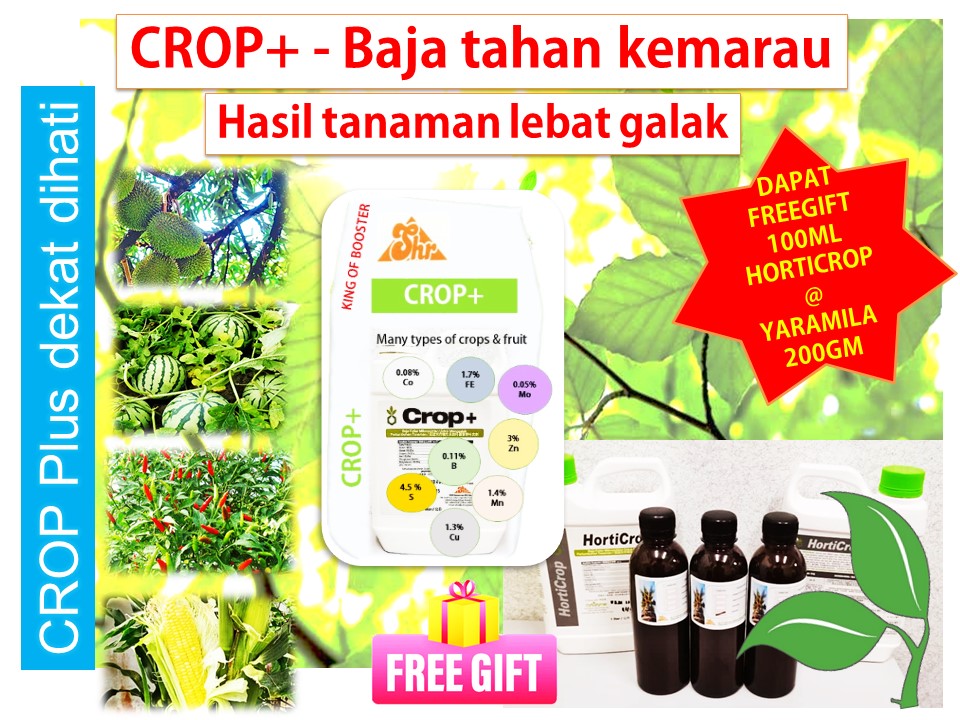 16feb-cropnewad.jpg
