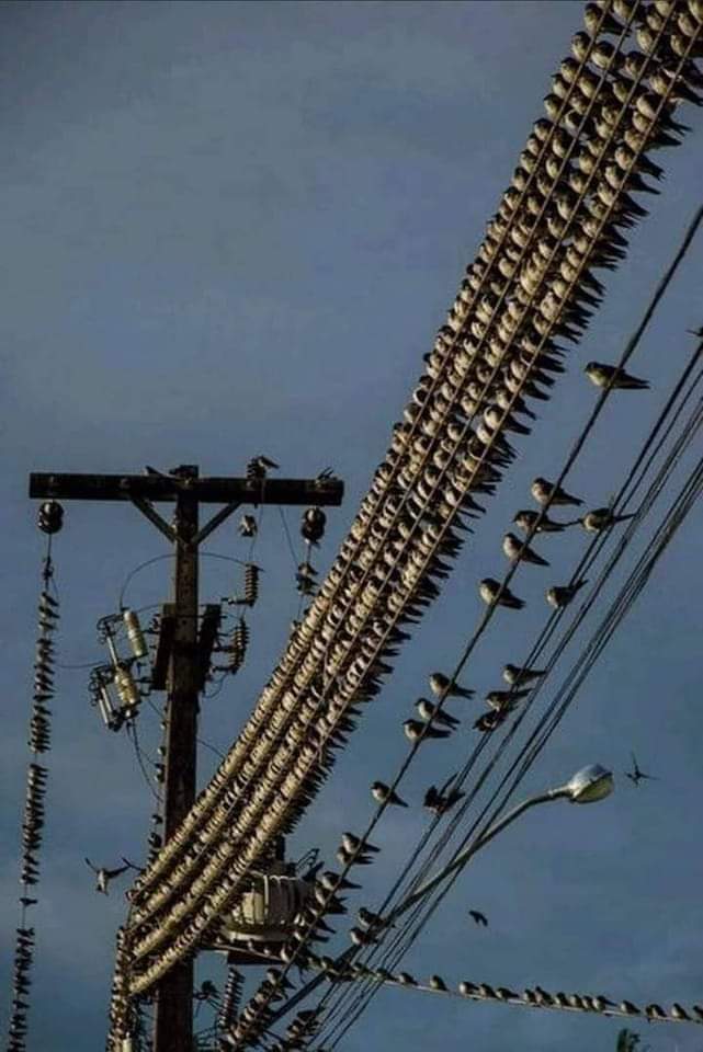 274859605_109951468293285_5934080065034070435_n.jpg