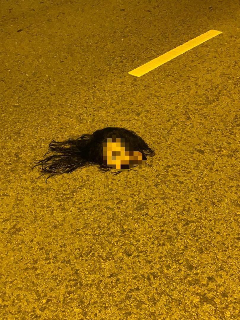 5320.jpeg