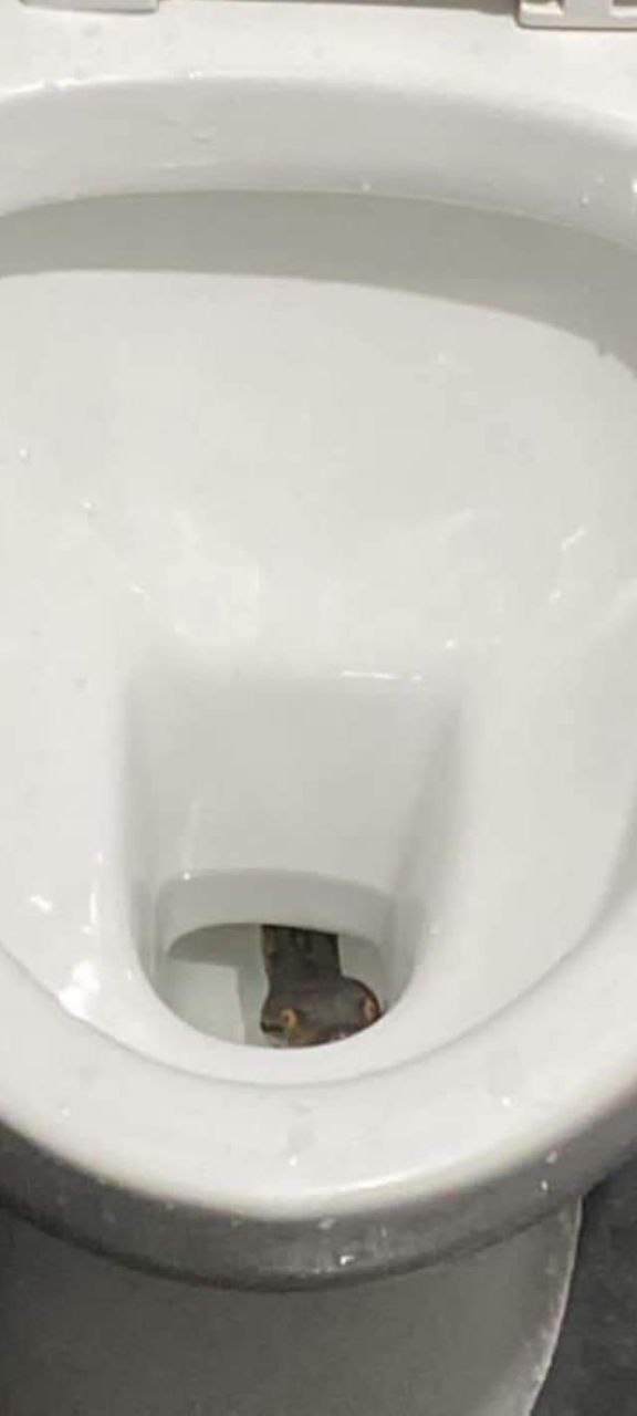 6296429168858086234_121.jpg
