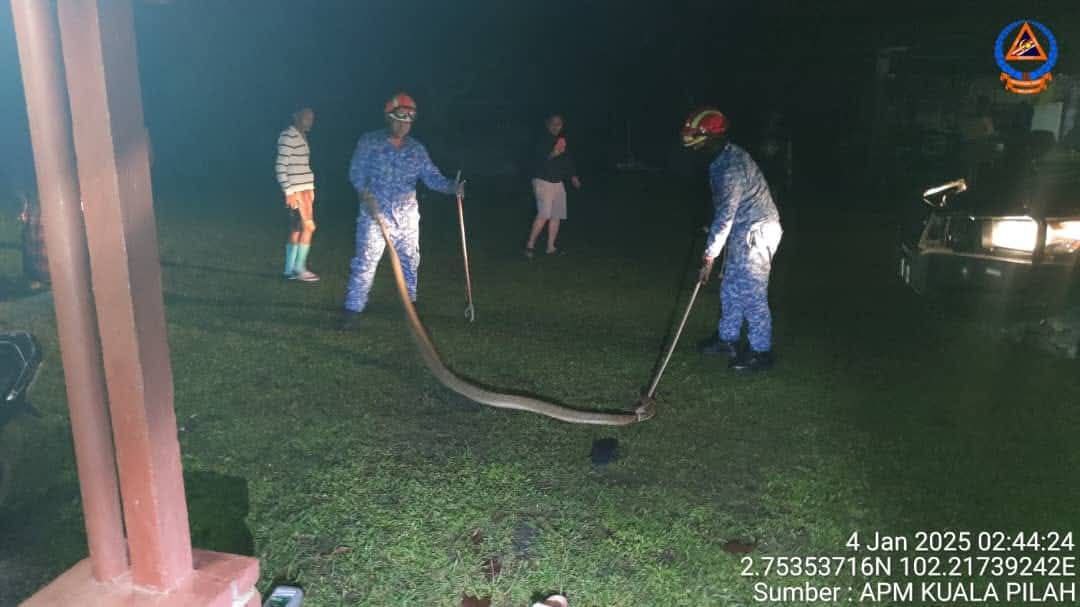 6327805068891505515_121.jpg
