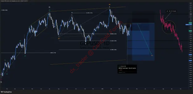 7.webp
