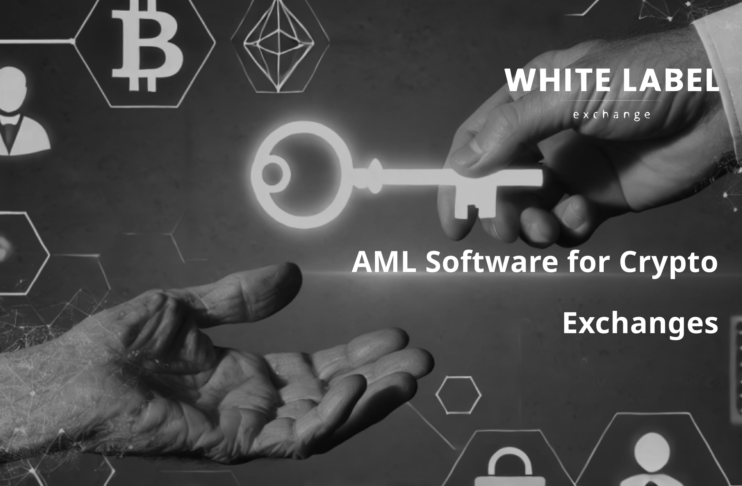 AML-Software-for-Crypto-Exchanges.png