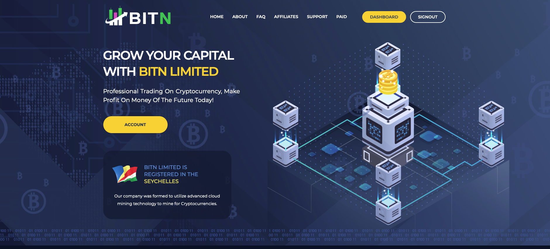 BITN1.png