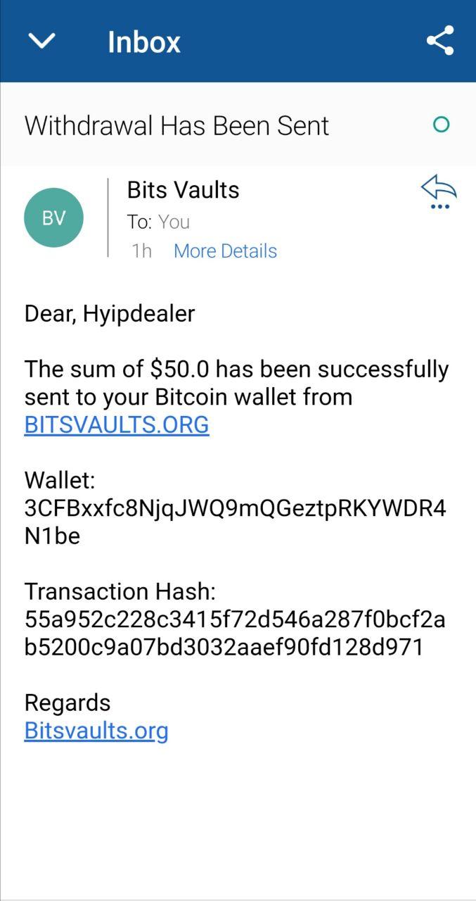 bitsvaoult paymnt.jpg
