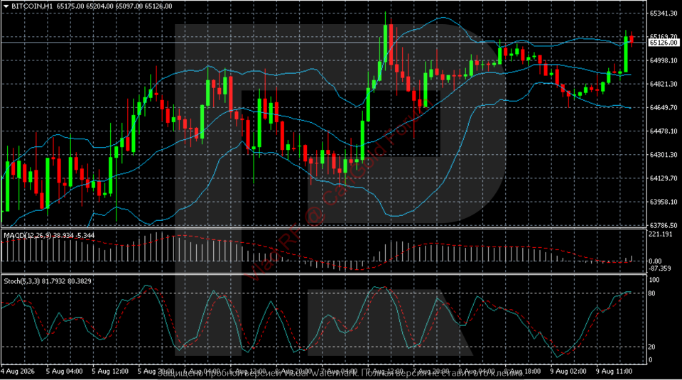 btcusd-2026-08-10.png