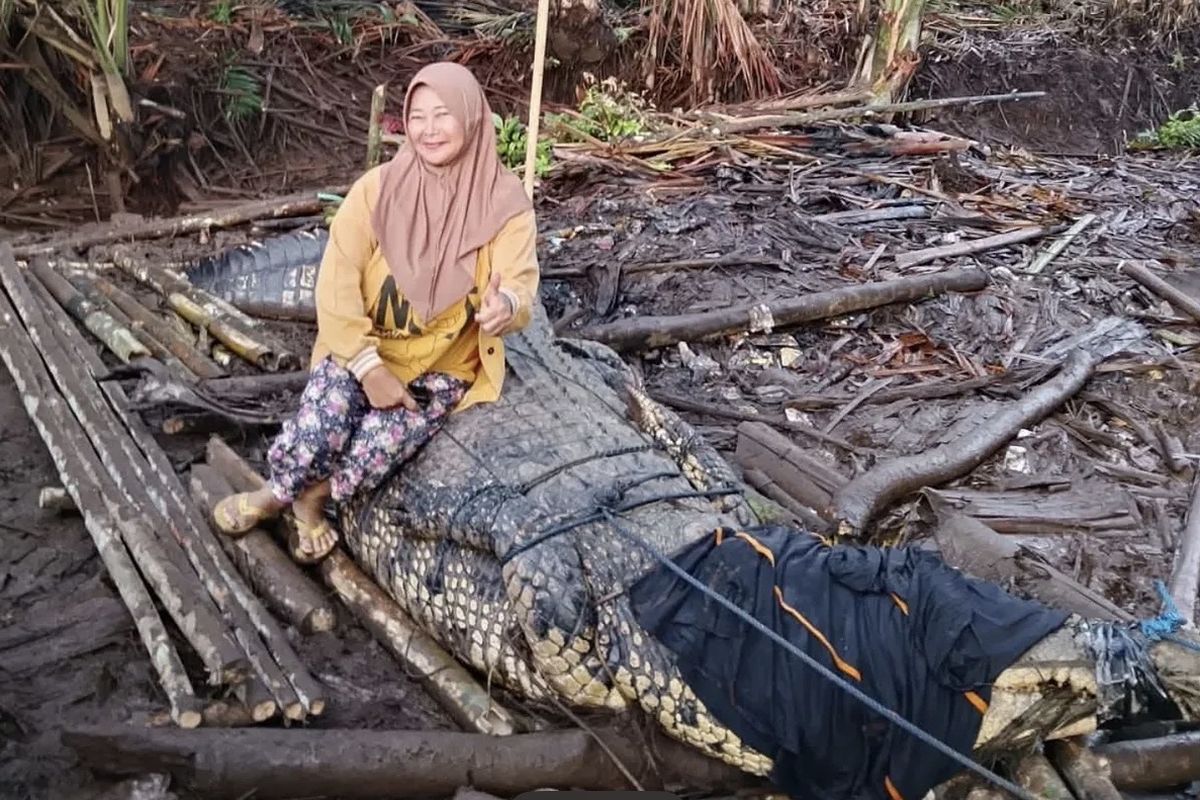 Buaya.jpeg
