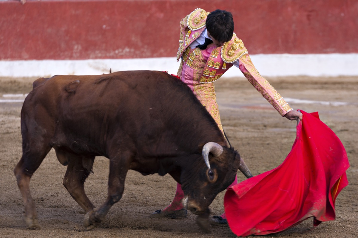 bull-matador.jpg