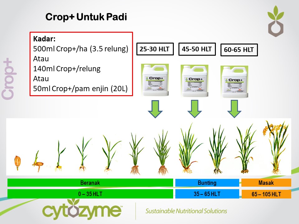 Crop+4-PADI.jpg
