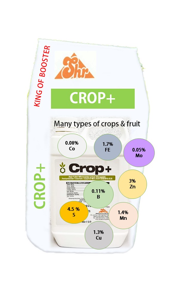 crop+.jpg