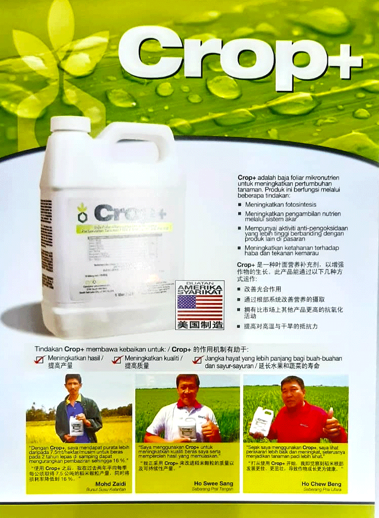 cropplusfront.png