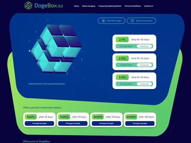 dogebox.ltd_640.jpg