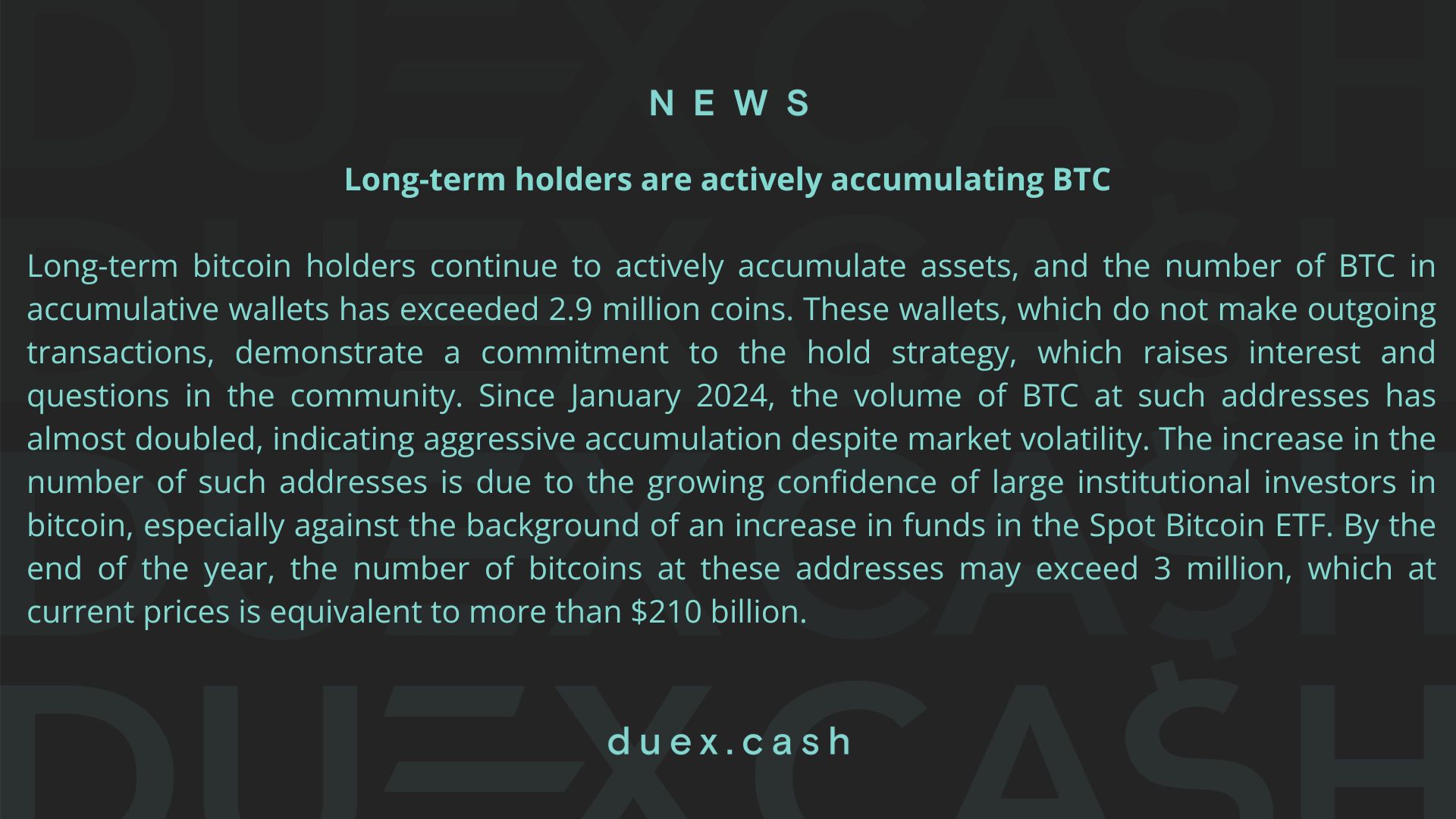 DUEX CASH (4).jpg