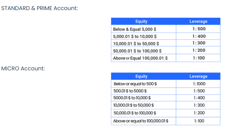Dynamic Leverage.png