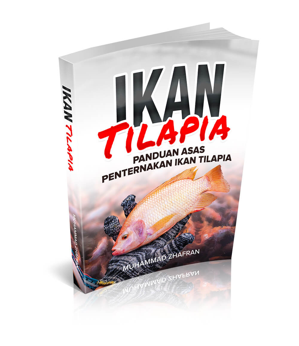 ecover01-ikan-talapia.jpg