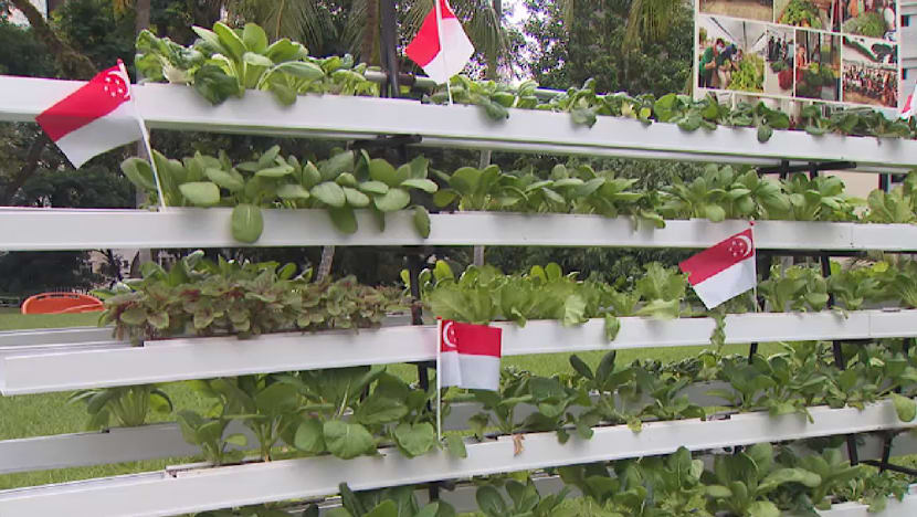 enabling_garden.jpg