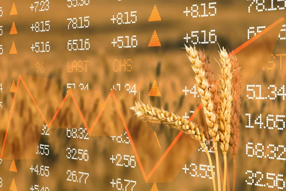epub_wheat-markets-prices_cr-BILLIONPHOTOS.COM--STOCK.ADOBE.COM_e_1080x667_webp.webp