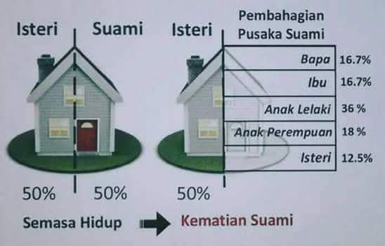 FB_IMG_1501722352470.jpg
