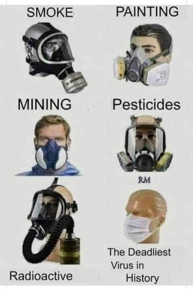 FB_IMG_1628528843804.jpg