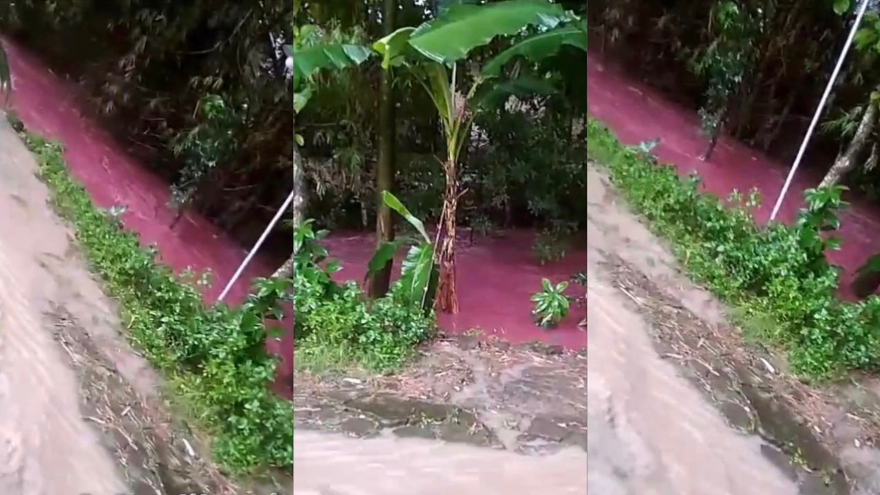 geli-banjir.jpeg