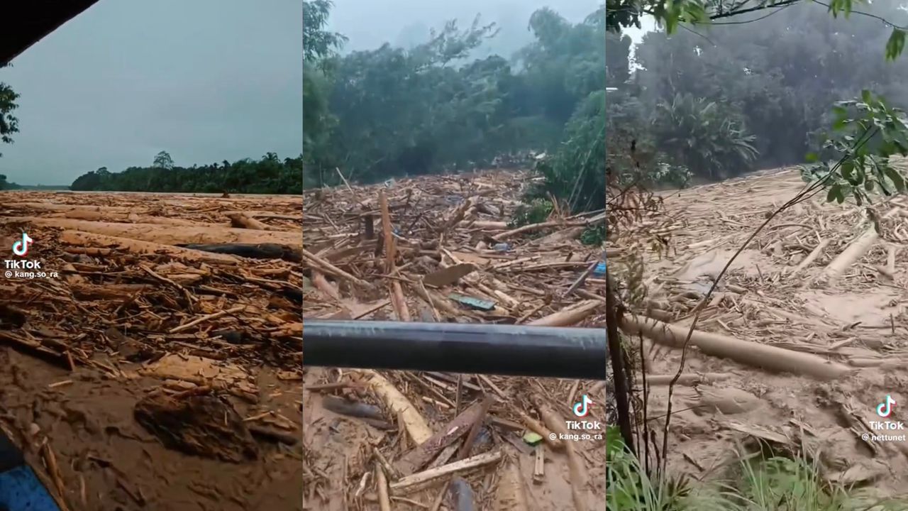 geli-banjir-kayu.jpeg