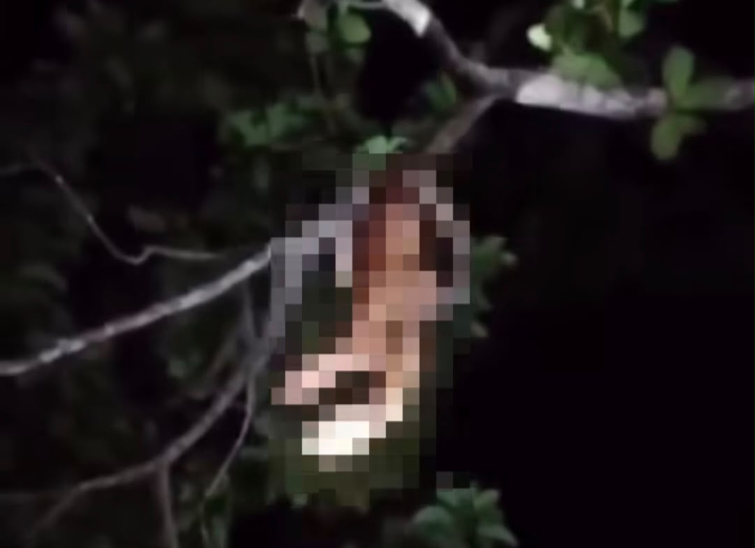 geli-bergayut.jpeg