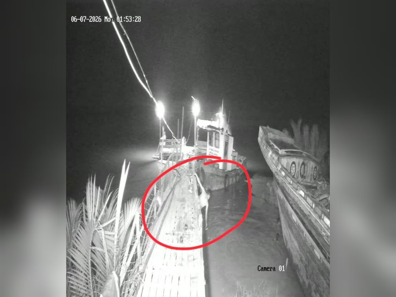 geli-buaya-1.jpeg