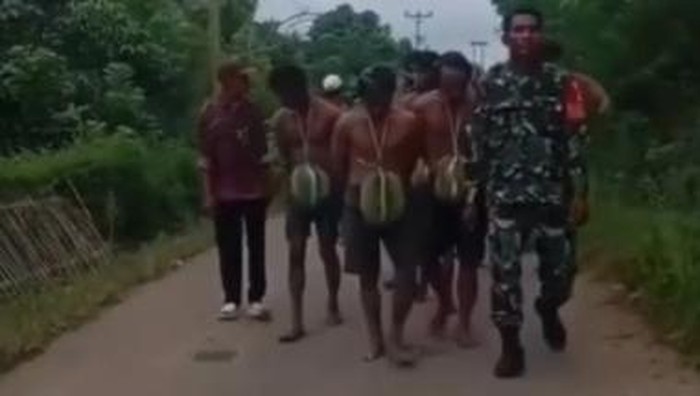 geli-curi-durian.jpeg
