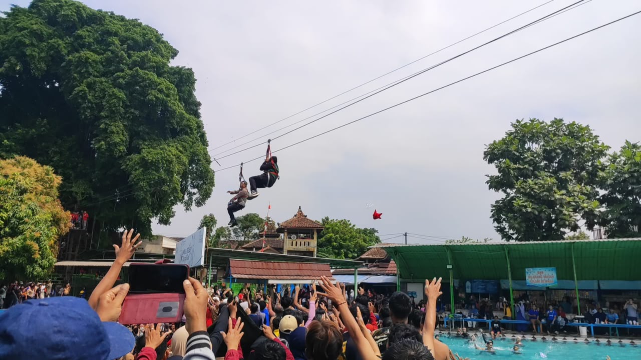 geli-flying-fox.jpeg