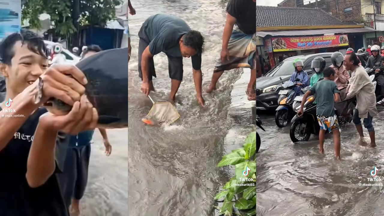 geli-ikan.jpeg