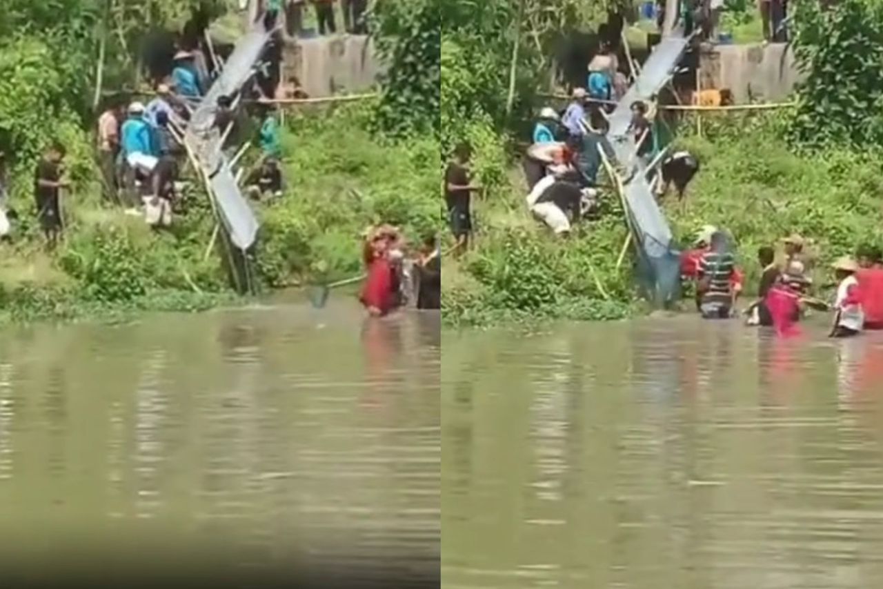 geli-ikan.jpeg