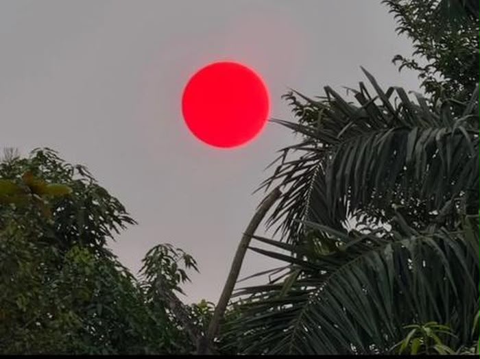 geli-matahari.jpeg