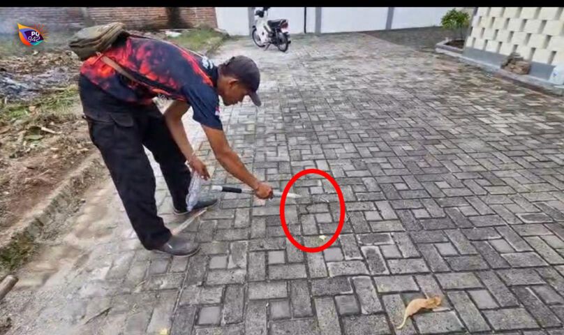 geli-ular.jpeg