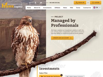 hawk.capital.jpg