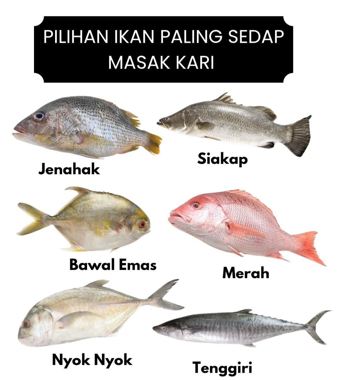 ikan.jpg