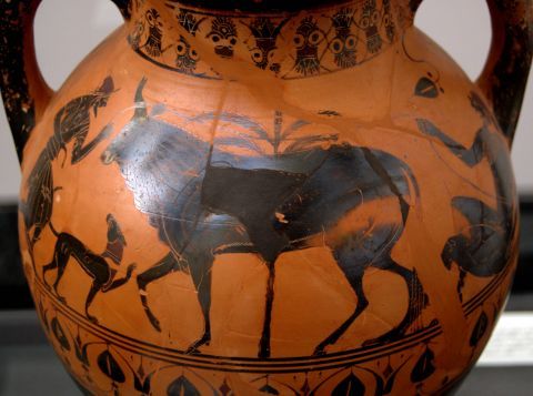 io-and-zeus-480.jpg