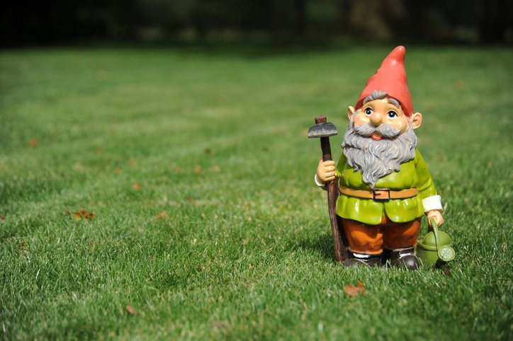iStock-gnome.jpg