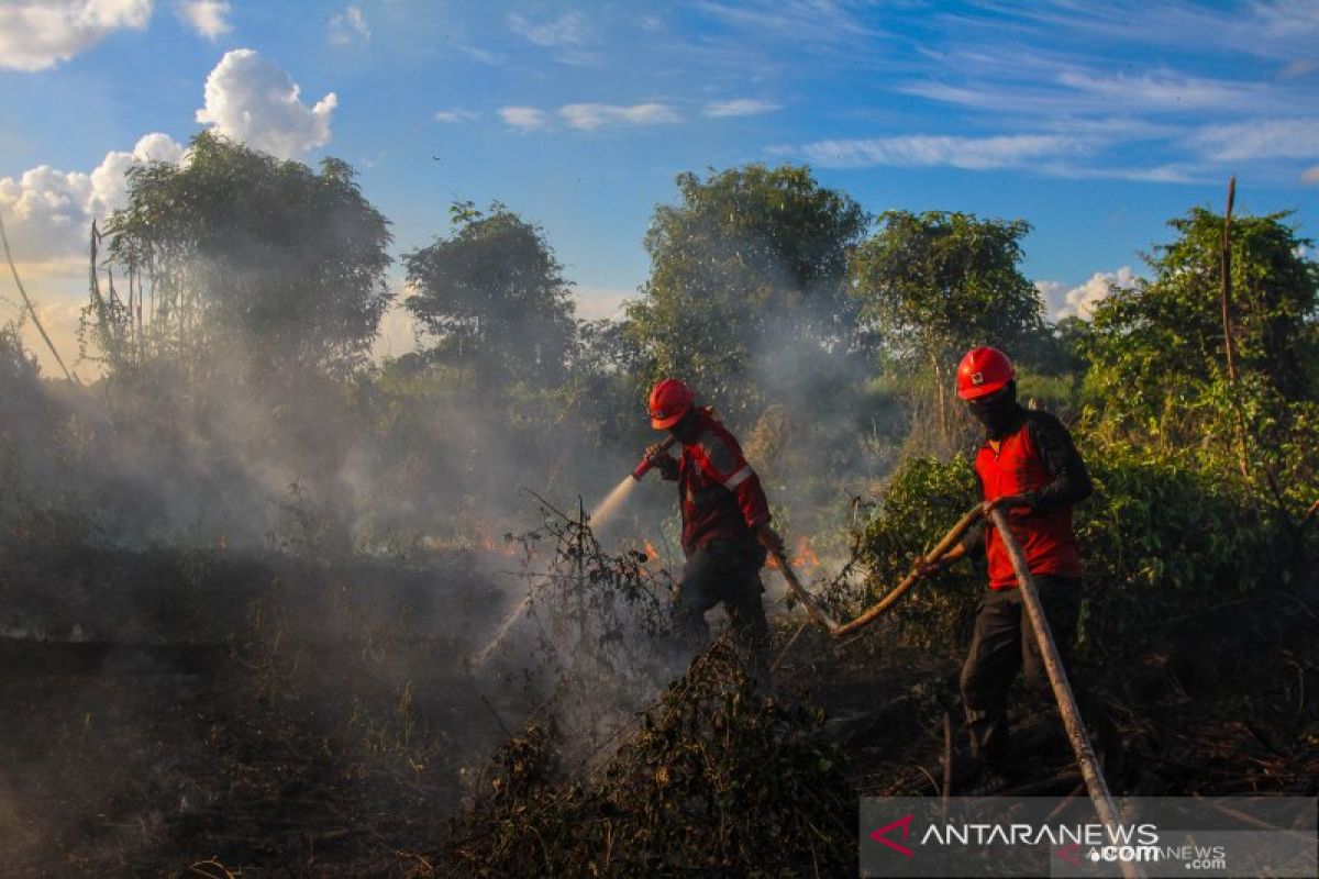 Kebakaran-Lahan-Riau.jpg